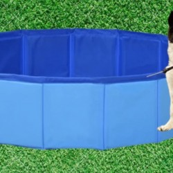 Piscina pentru animale companie 80 x 20 cm Piscina pentru animale companie 80 x 20 cm